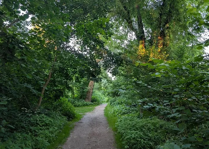 Im Gruenen In Tatil Evi